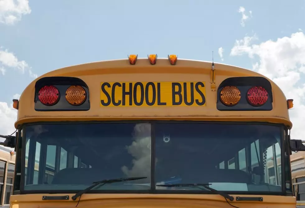 Are You in Favor of Stricter School Bus Passing Laws in Maine?
