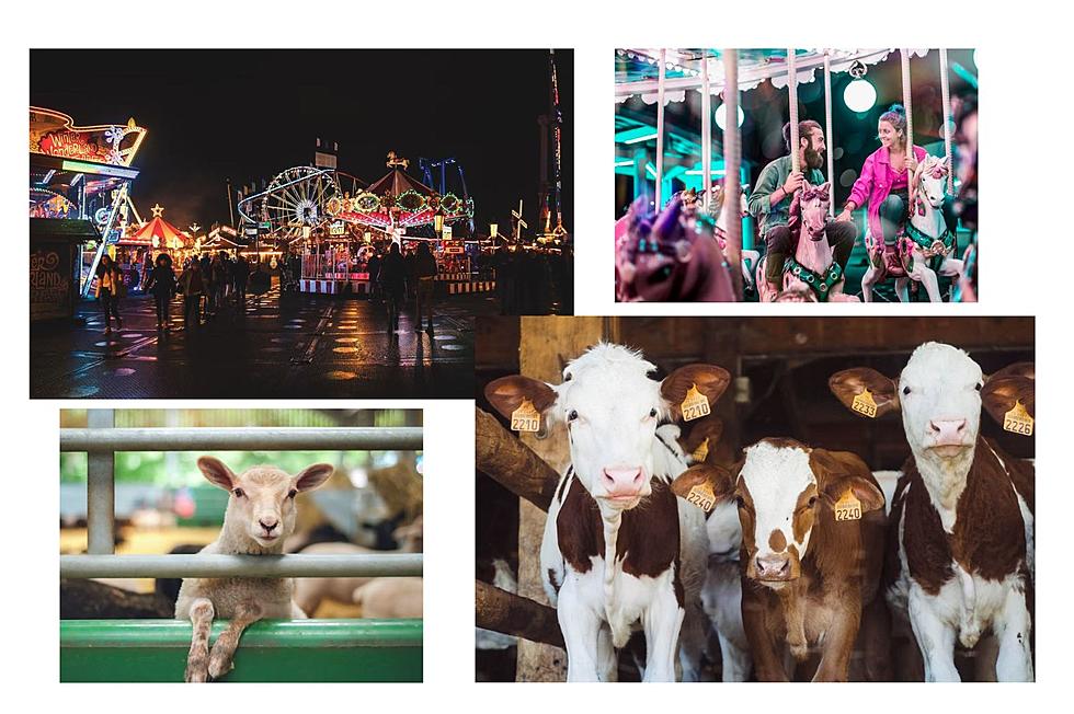 The 2023 Guide To Maine Agricultural Fairs And Festivals