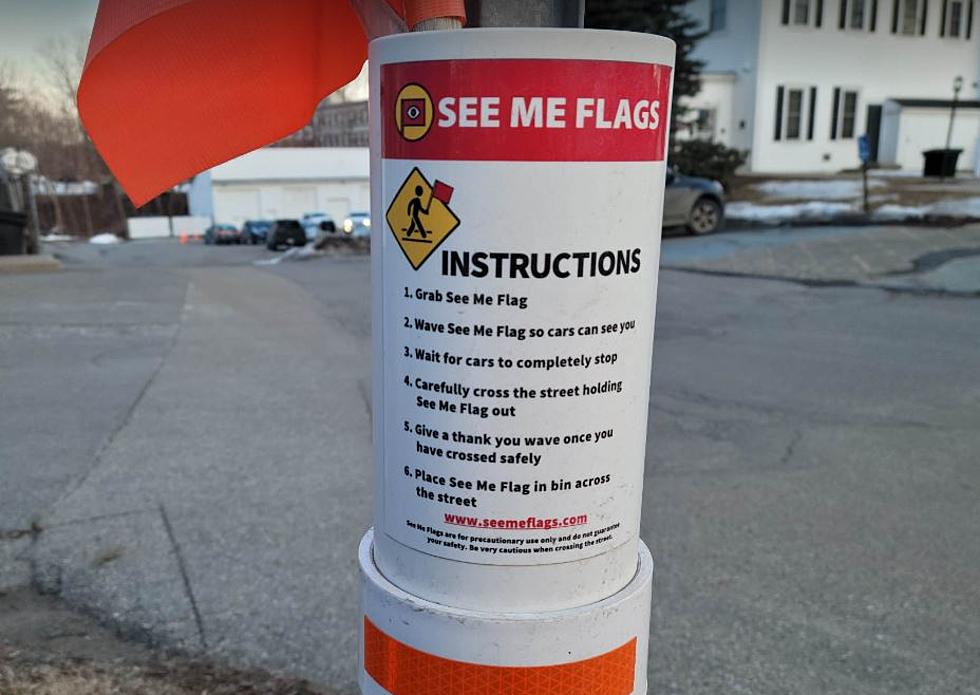 Have You Seen These On The Streets Of Your Maine Town?