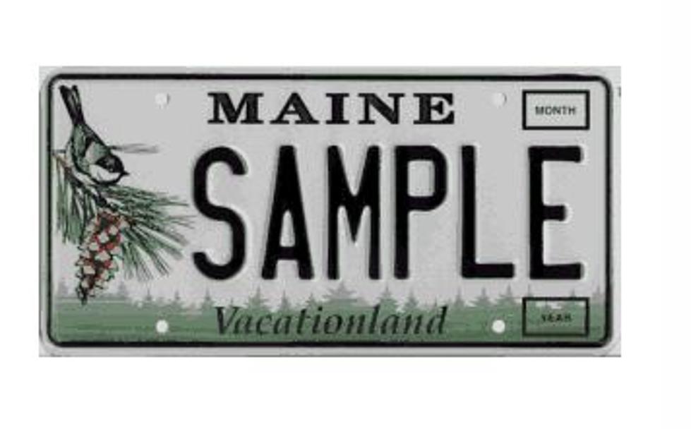 Maine Man Fights To Keep Banned “luvtofu” License Plate