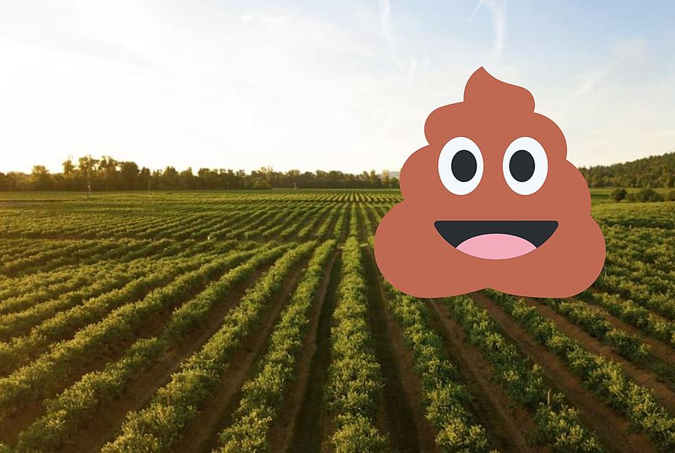 Is It Legal To Use Human Poop As Fertilizer In Maine?