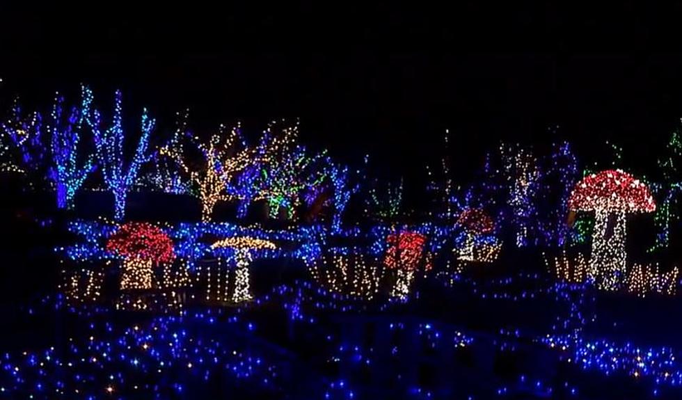 Gardens Aglow at the Coastal Maine Botanical Gardens Opens This Weekend