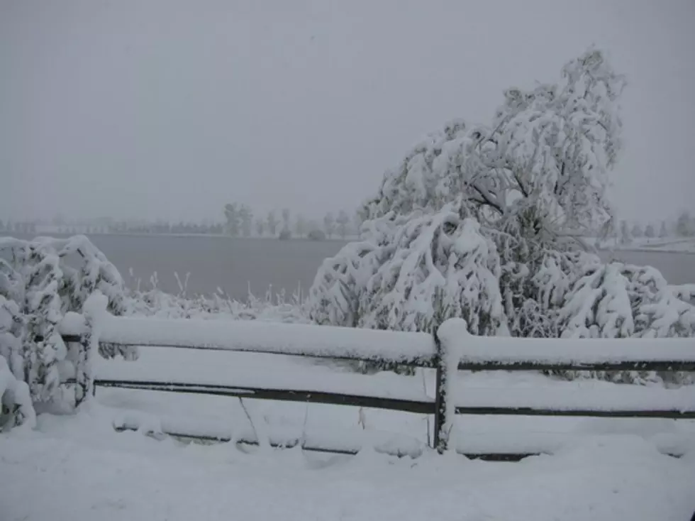 Snow Covers Northern Colorado – October 2011 [PHOTOS]