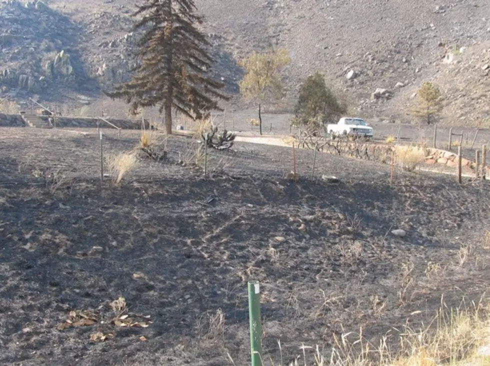 Colorado High Park Fire’s Path of Destruction Reminds Me of a Tornado’s Indescribable Path [PICTURES]