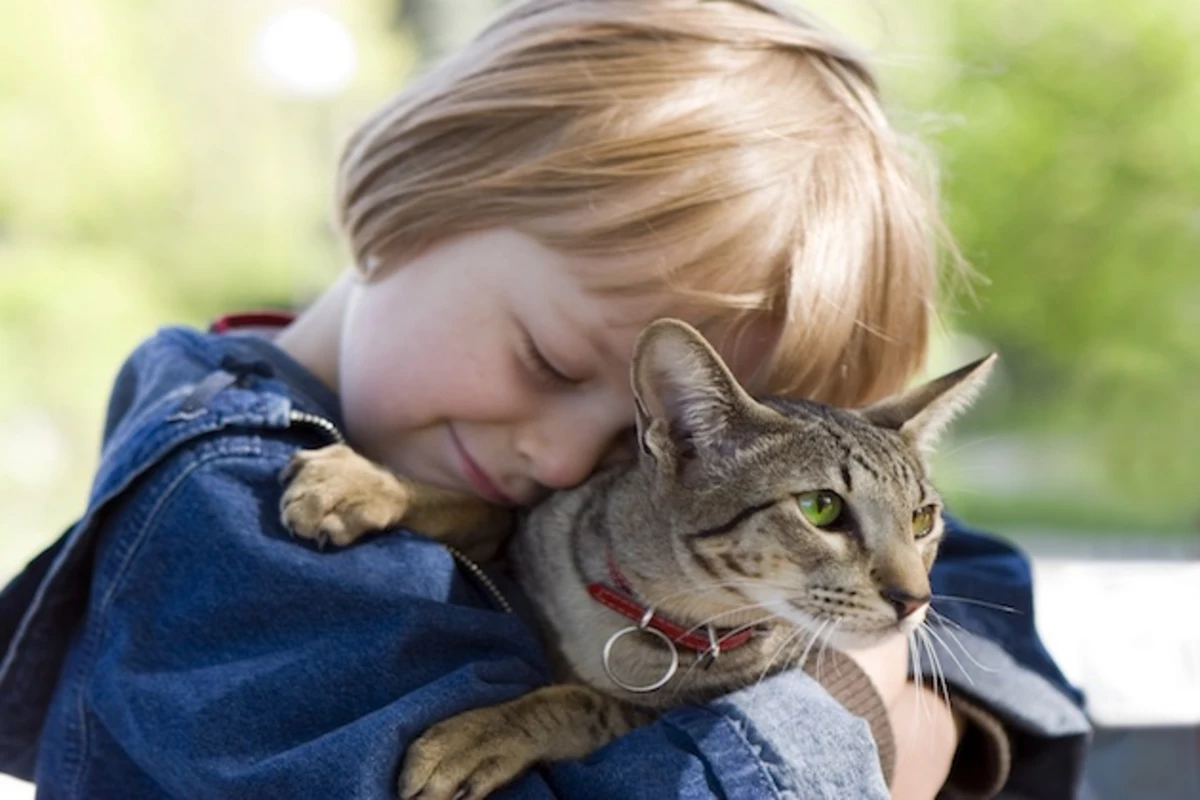 Happy National Hug Your Cat Day