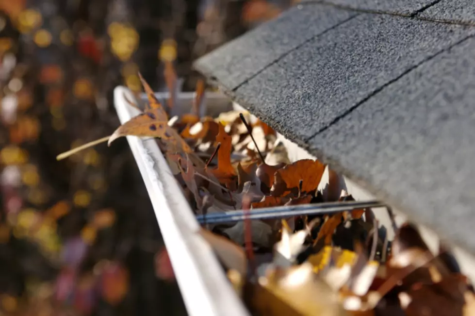 How to Clean Your Gutters Without a Ladder [VIDEO]
