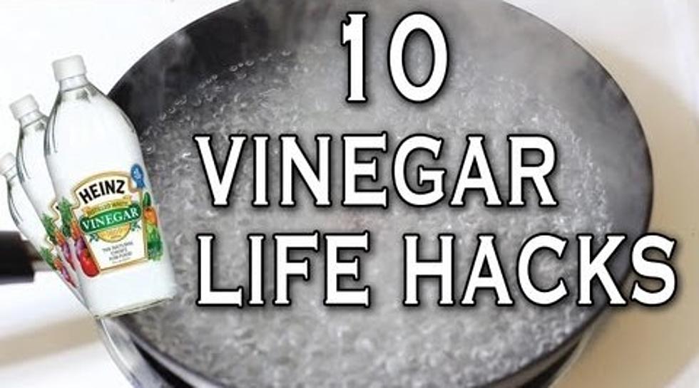 10 Neat Vinegar Life Hacks to Try [VIDEO]