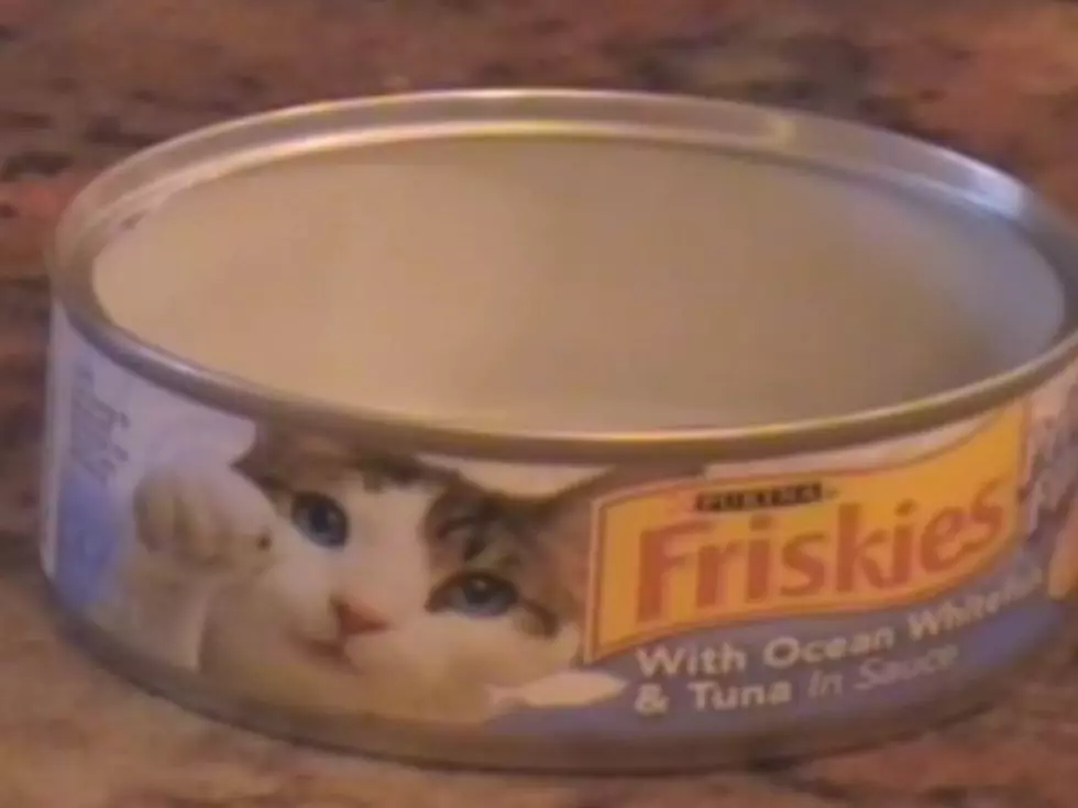 ‘Happy Birthday’ Surprisingly Well Played on Cat Food Cans [VIDEO]
