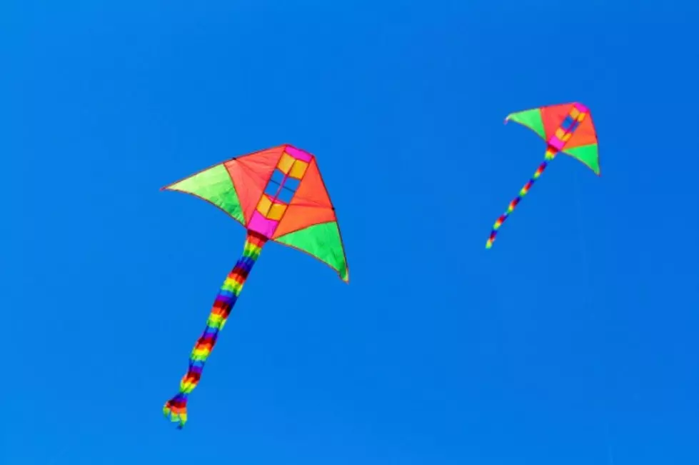 Seventh Annual Kites in The Park Fort Collins