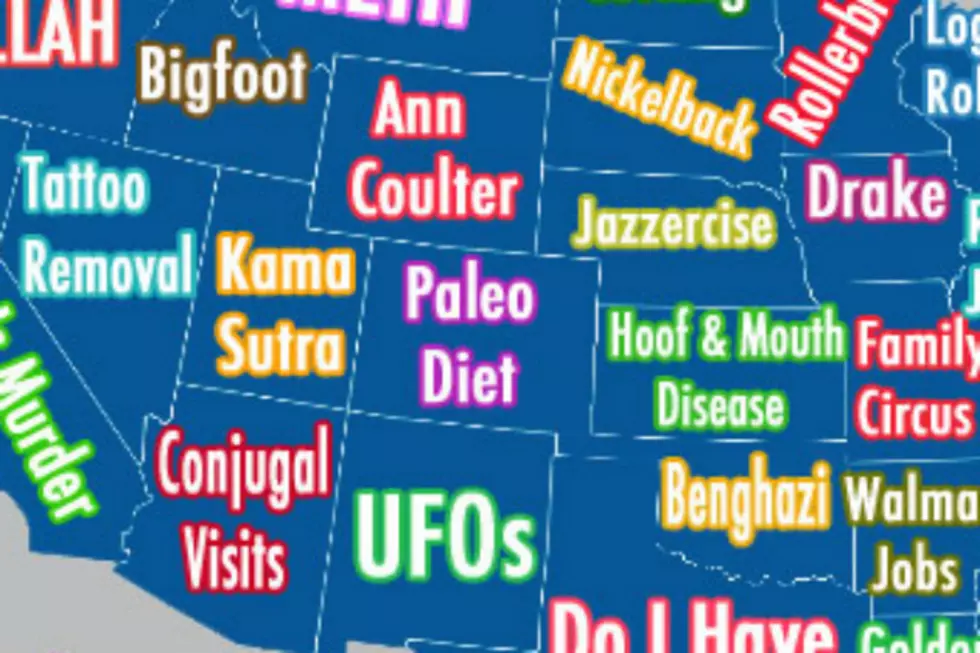 The Top Google Searches for Each State: Where Does Colorado Stand? [INFOGRAPHIC]