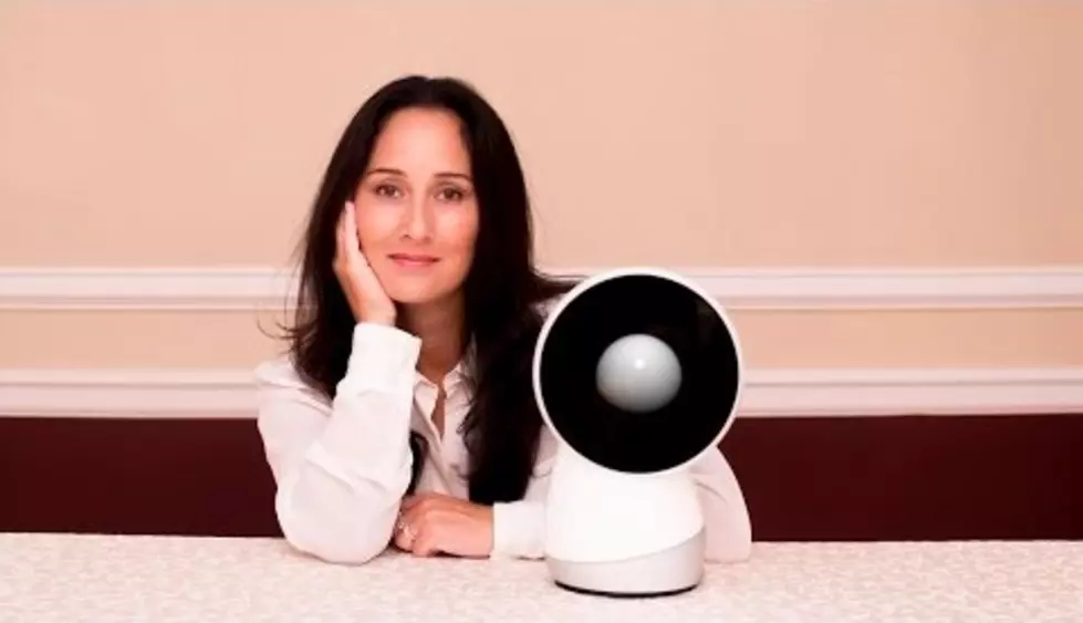 Would You Ever Get a Family Robot? [VIDEO]