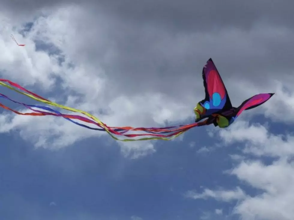 Fort Collins Kites in the Park Celebration Happening This Weekend