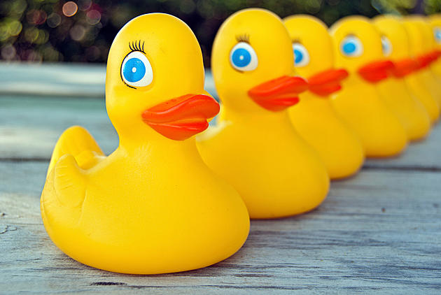 Flock to the Annual Duck Race in Windsor on July 9