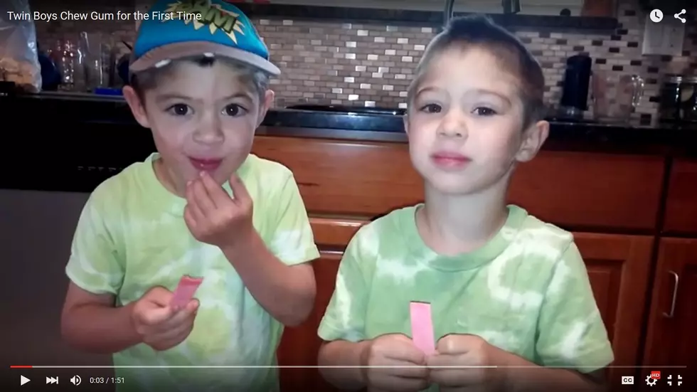 My Twin Boys Try Gum for the First Time and I Got Video