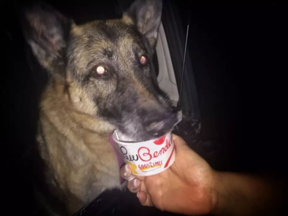 Do Your Pups Need a Cool Treat? You Can Get One For Free