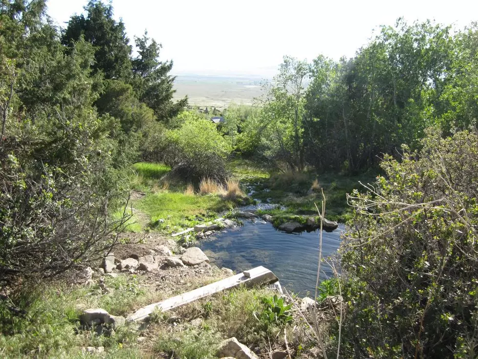 5 Hot Springs You Should Visit in Western Colorado