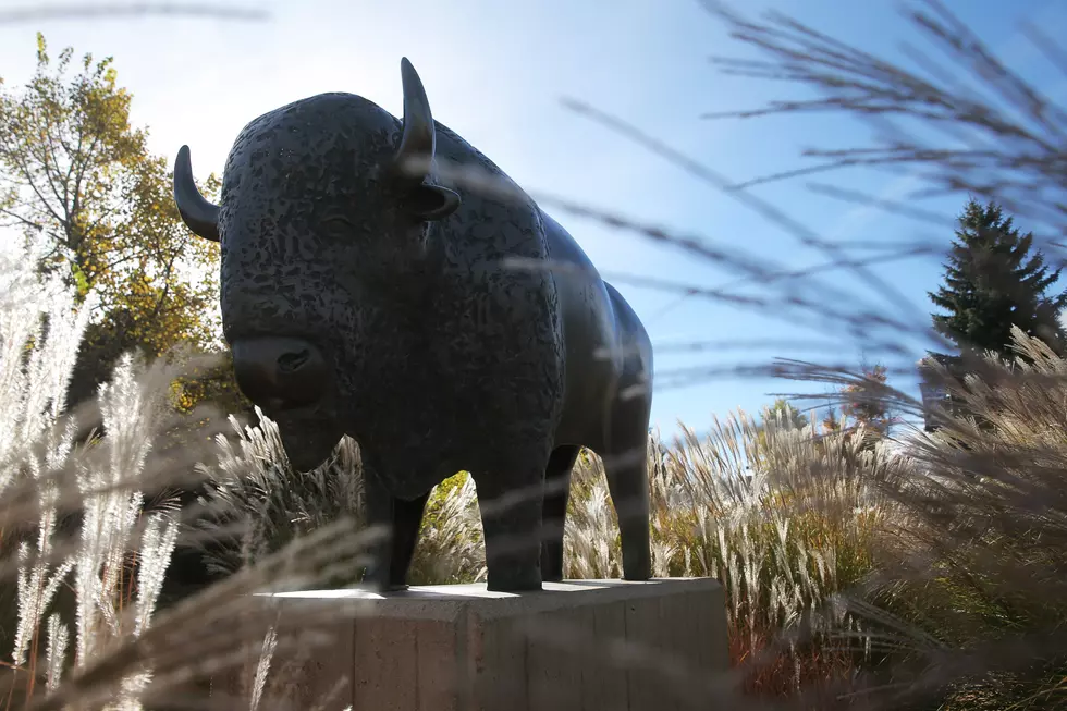 The University of Colorado-Boulder Majors in Party Time