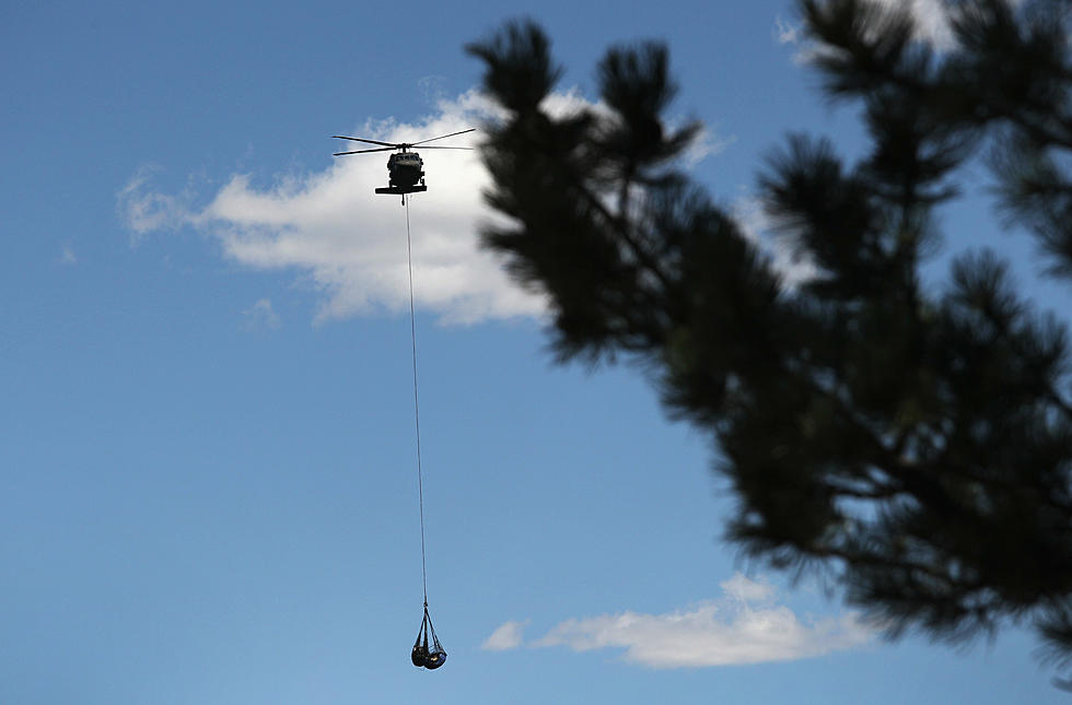 Larimer County Sheriff’s Office Applauded by Legal Marijuana Supporters