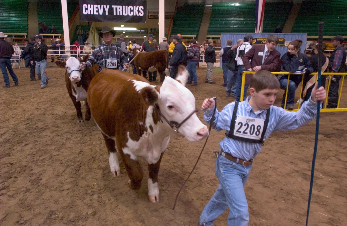 National Western Stock Show Kicks Off in Denver This Weekend