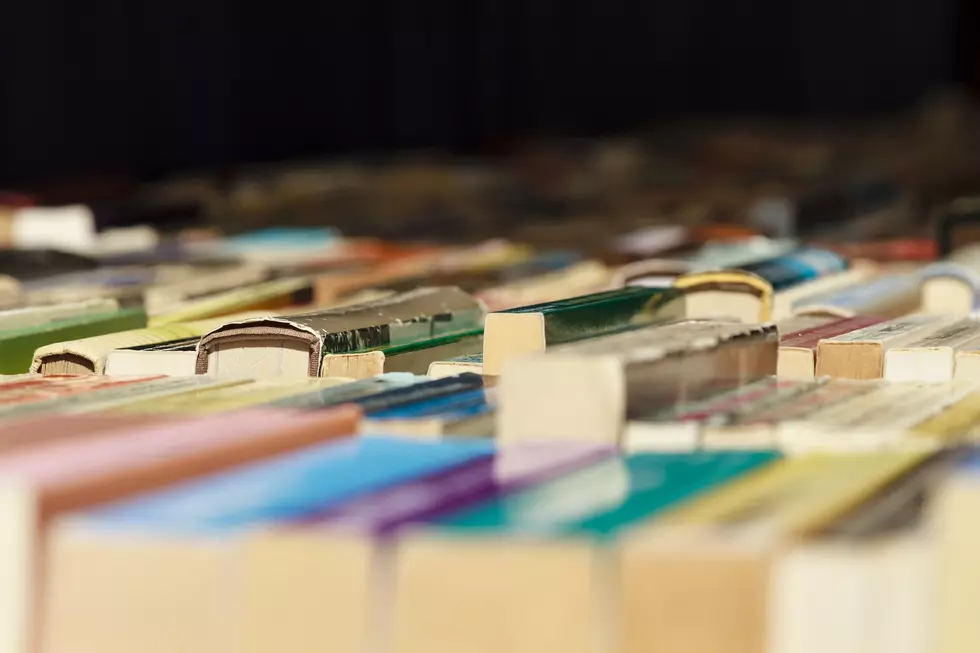 Spring Used Book Sale for Loveland Library a The Ranch this April