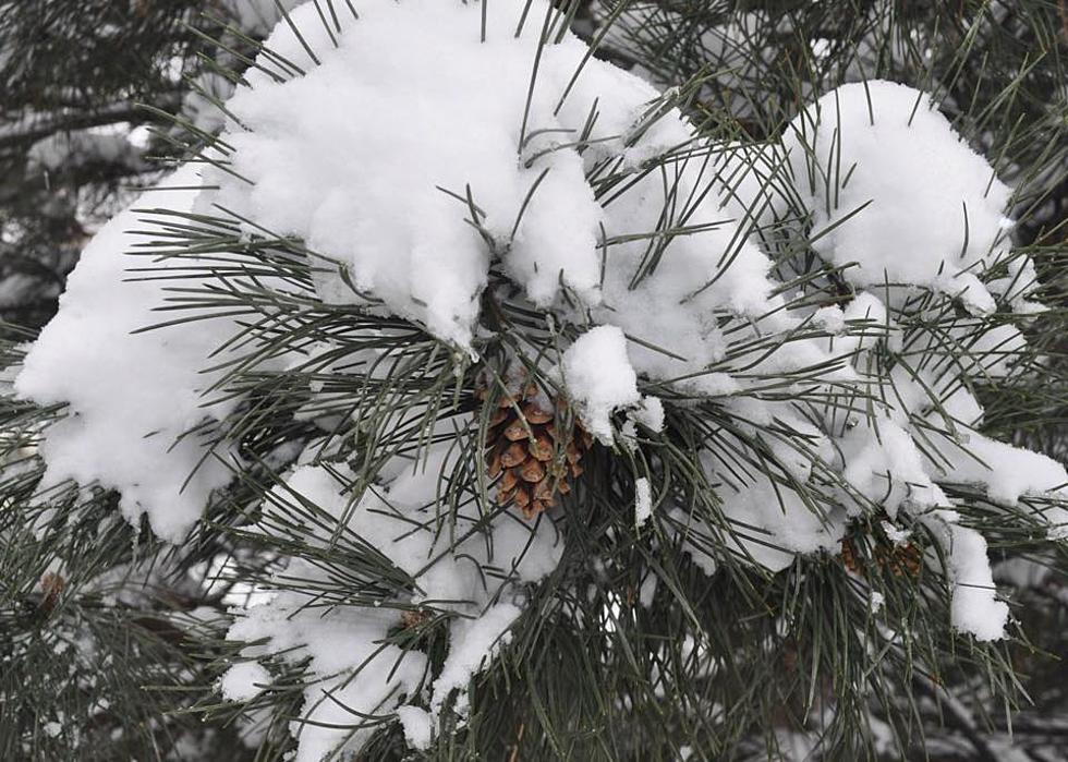 Winter Storm Watch: 3-8 Inches Expected by Friday Morning