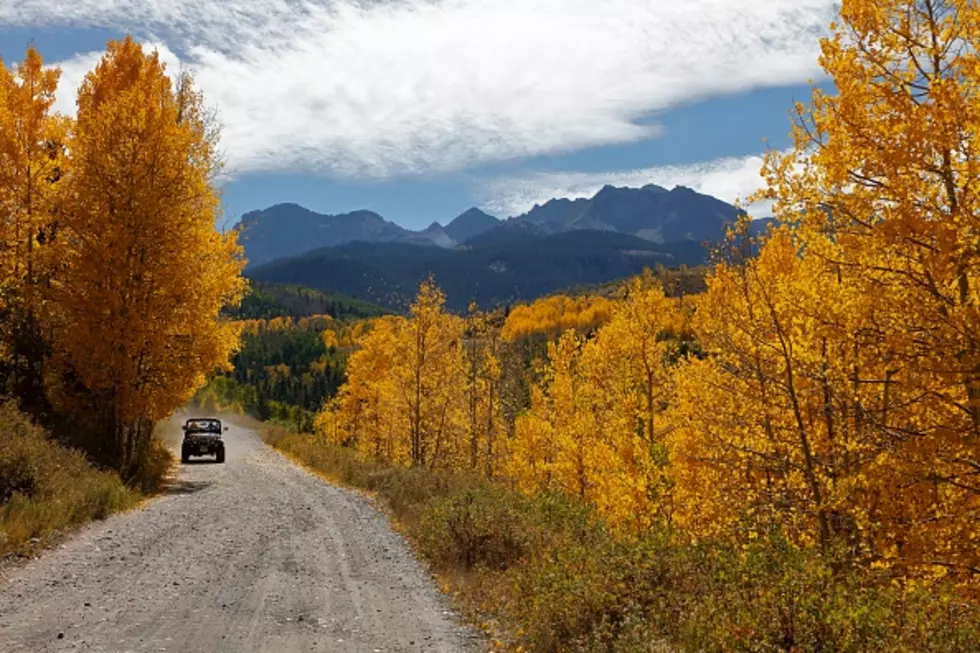 1,000 Temporary Jobs Up for Grabs with U.S. Forest Service