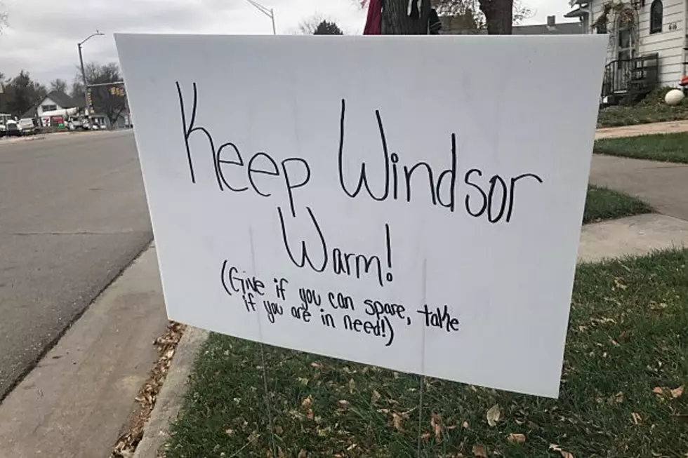 A Great Idea: Keep Windsor Warm Trees