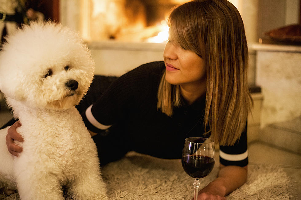 Business in Golden Helps Your Pets Have Wine With You
