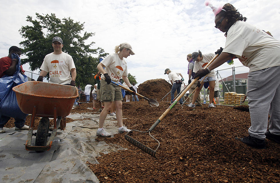 Free Mulch Will be Available to Public in Fort Collins