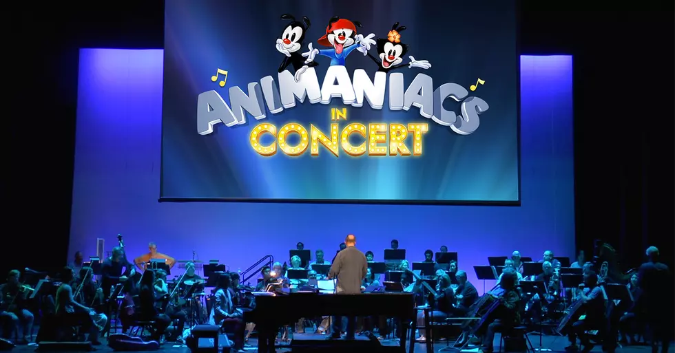 Animaniacs in Concert Brings Zany Humor to the Lincoln Center Stage