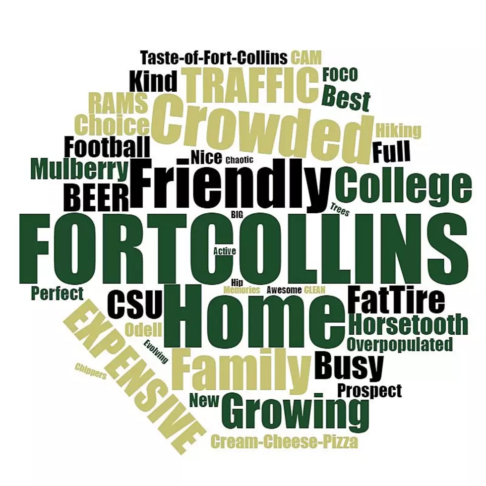 Here&#8217;s the Words You Used to Describe Fort Collins