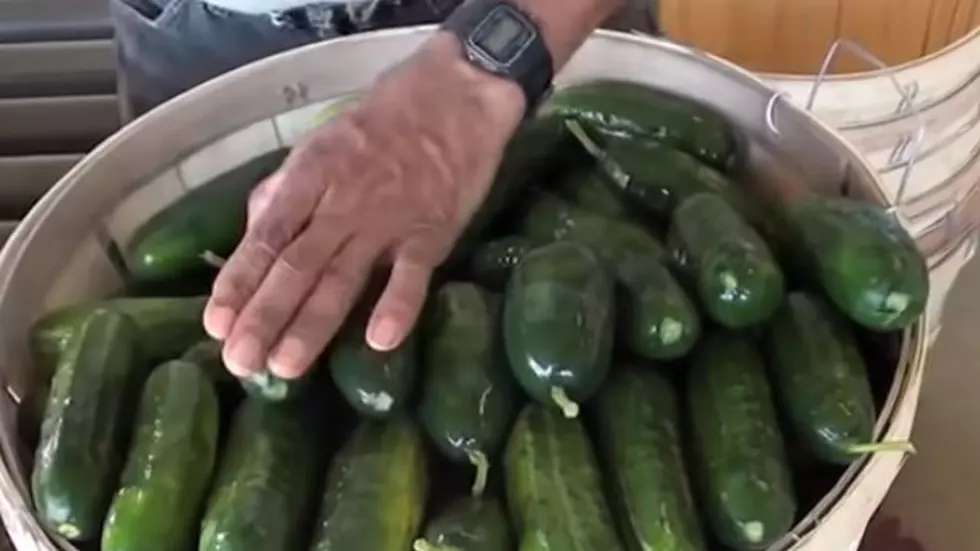 Remember When Fort Collins Had a Pickle Factory Off of Mulberry Road?