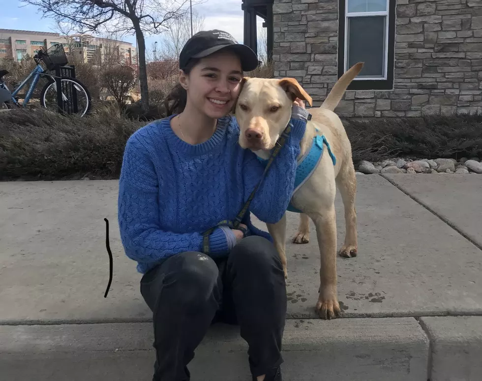 J.B.’s Colorado Foster Dog Needs Adopting