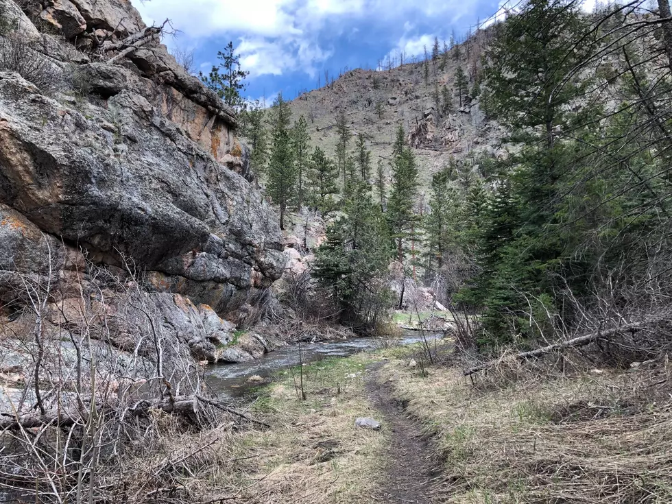 Newly Restored Young Gulch Trail is Back and Better than Ever