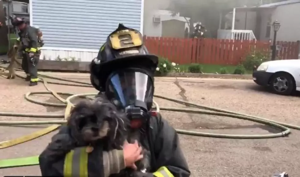 PFA Rescued 2 Dogs During Fort Collins Home Fire