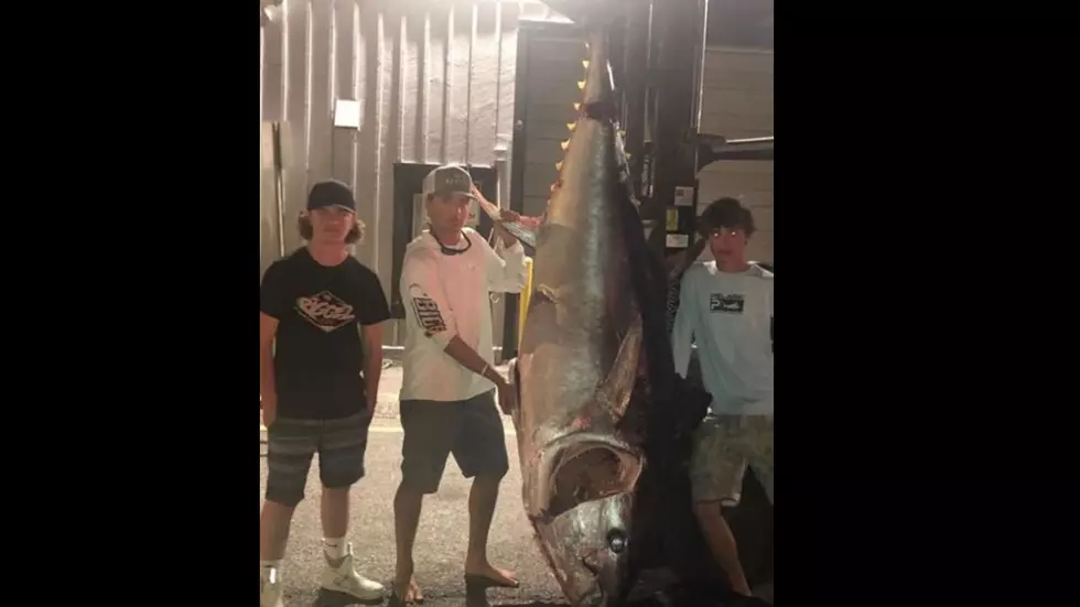 ‘Big Tuna’ – Aspen Teen and Friends Reel in Huge Blue Fin in Maine