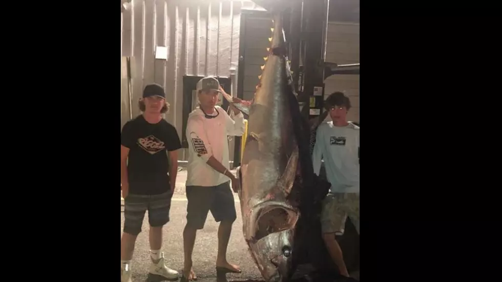 &#8216;Big Tuna&#8217; &#8211; Aspen Teen and Friends Reel in Huge Blue Fin in Maine