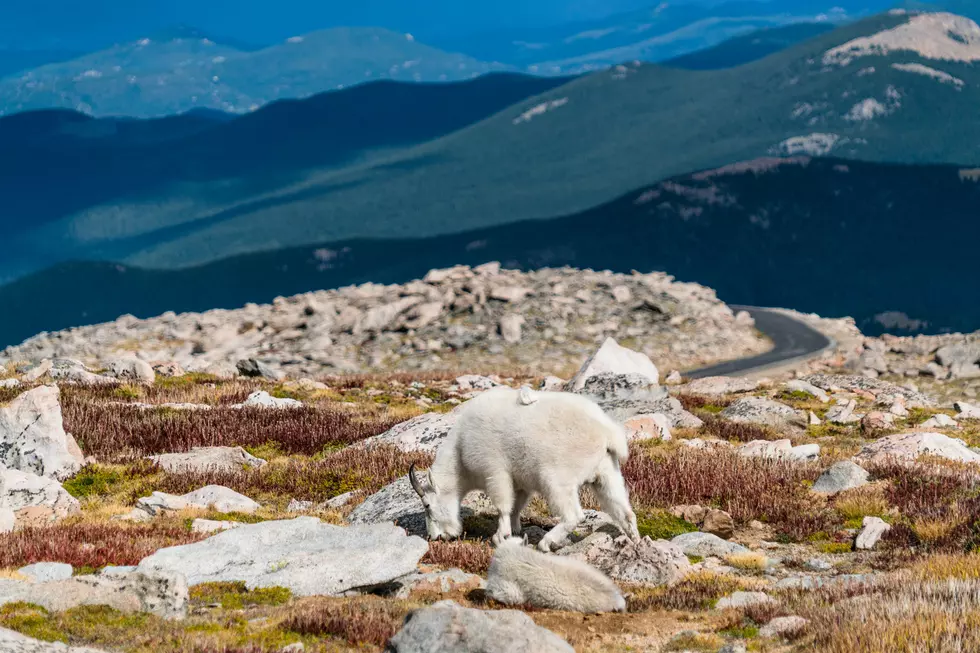 Mount Evans Among 12 Colorado Spots Recommended to Be Renamed