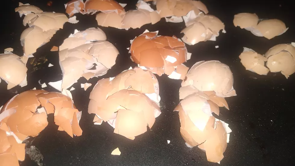 Why is Kama Cooking Eggshells?