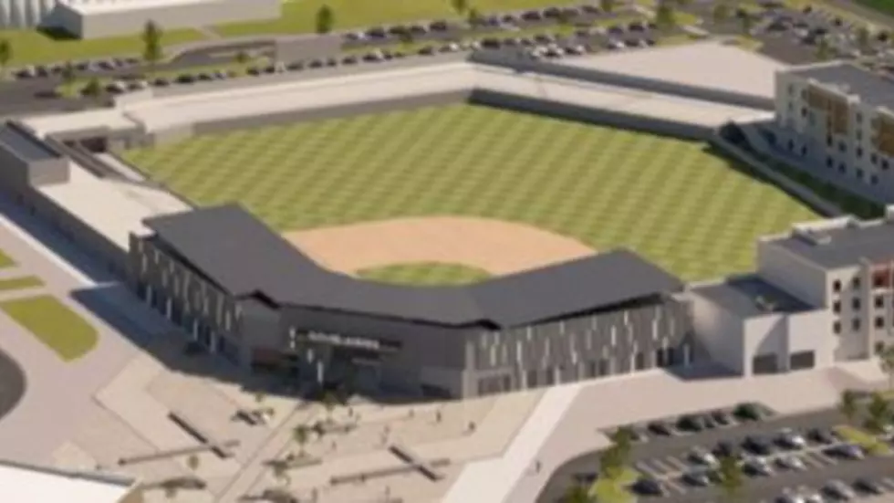 Future Legends Sports Park Business Improvement District