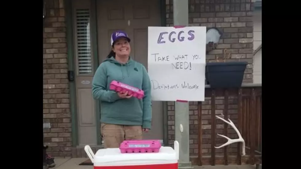 Loveland Woman Who Donated Eggs Searching for Missing Hens