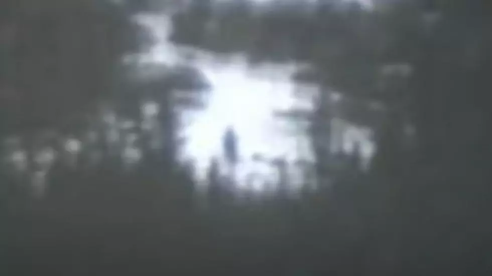 Sasquatch Watch: Is This 1962 Footage From Colorado Proof?