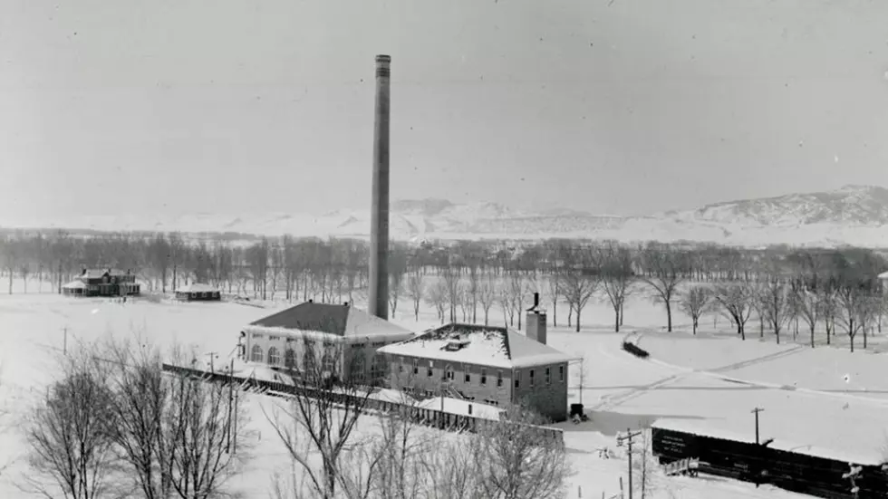 Colorado State Looks Back at Its Agricultural College Roots