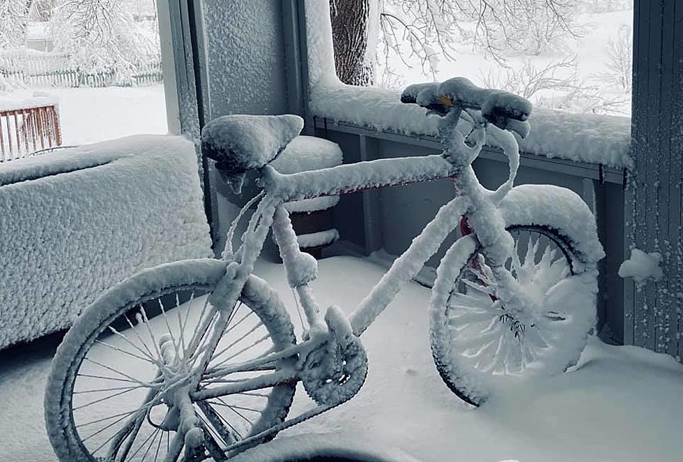 Photo Gallery: Winter Storm “Xylia” Hits Northern Colorado