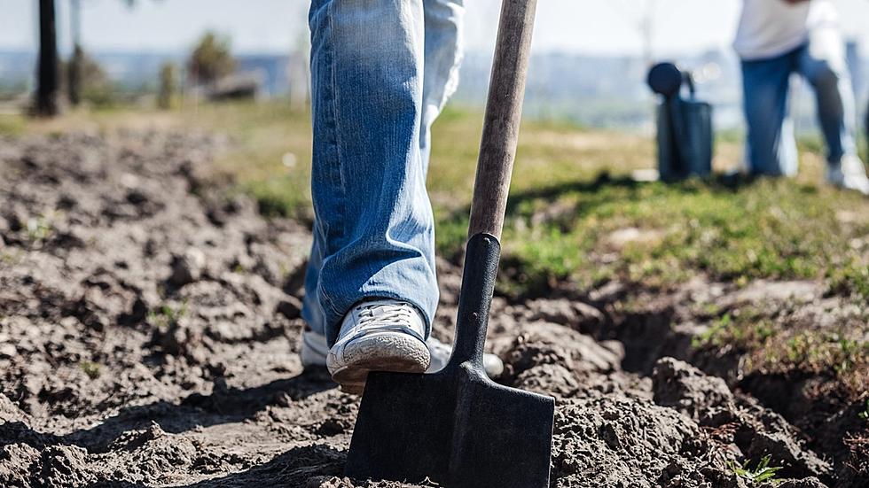 CSU Grads Connect Local Farmers and Consumers With &#8216;Food Hub&#8217;