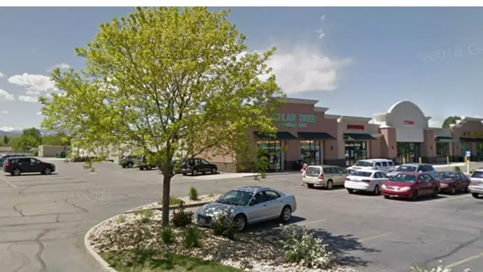 Loveland Dollar Tree