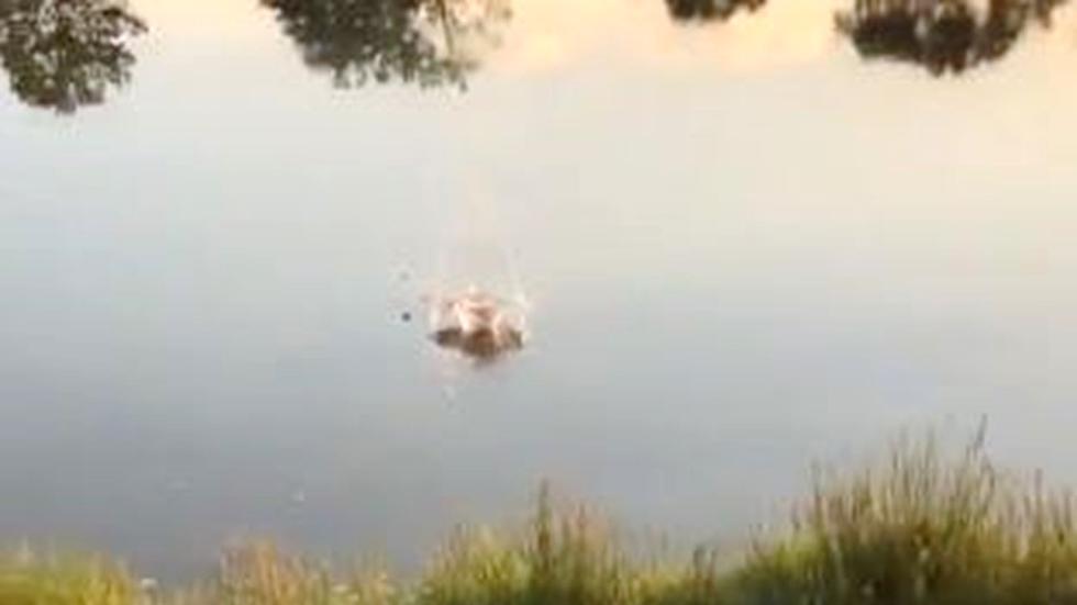 CSU Rams Fan Tosses CU Golf Ball off of Course and Into Water [Video]
