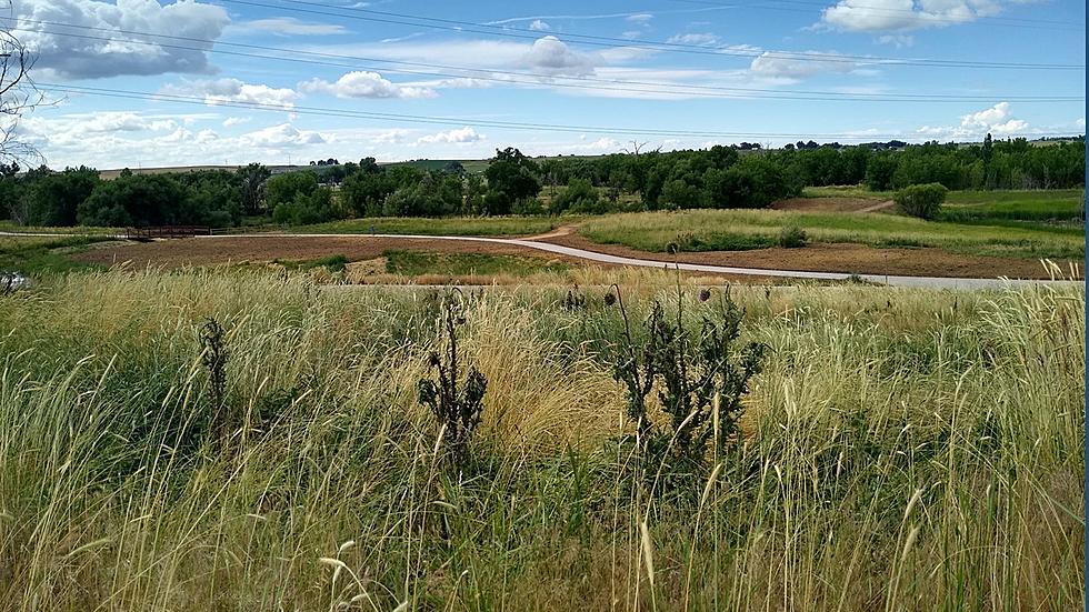 Loveland’s Old St. Louis Natural Area Has Oddities