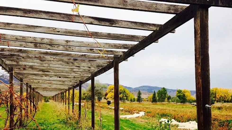 $2.4 Million Happy Heart Farm in Fort Collins Will Bring Smiles [Photos]