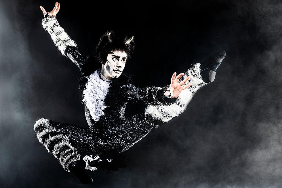 Win Tickets To See CATS Live At The Lincoln Center In Fort Collins
